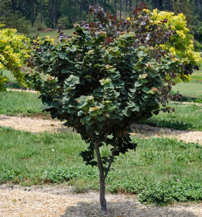 8f265b75dca2646cb963e53de8ef81e1