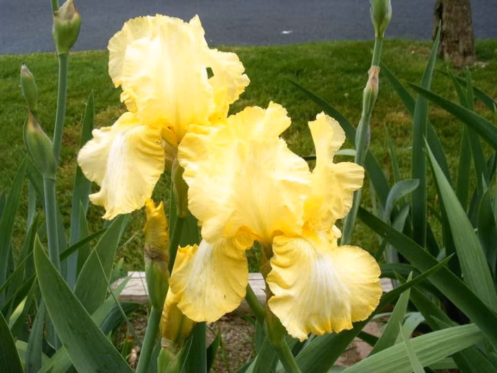 8f6989797a3eb11aeaec00e8d44e7943