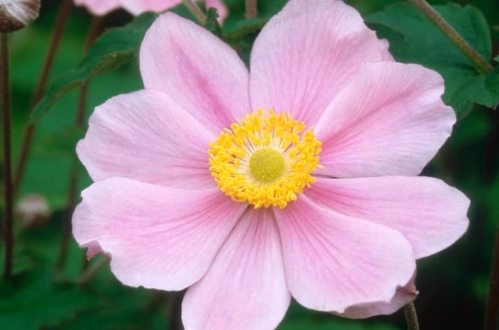 8f6db8437686cf0f85602598a2932c1c