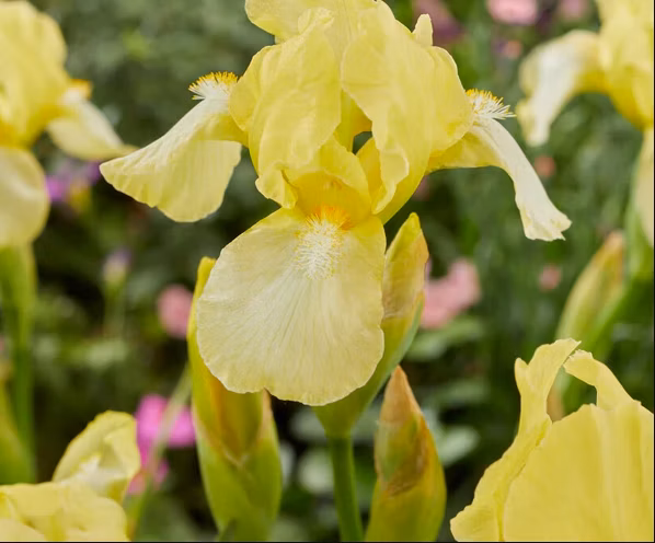 8f92e1a196237744a329b6cc6ebe02d8