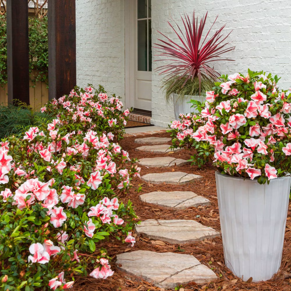 8fabc885f56c79171f5912ead6247b8a