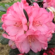 8ff2162fdb03035b68a9ae5426c360d9