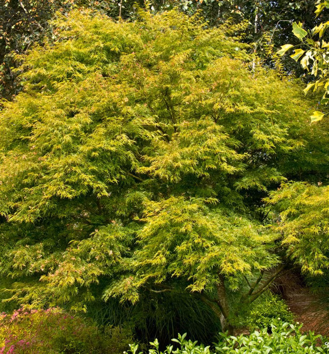 901b6e54a7969f0d38ba9096f8b8867a