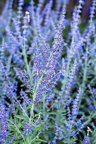 905e8696476a7954575d0750c376fd13