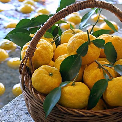 9091584a59d193c69d3161ecee4c0ae9