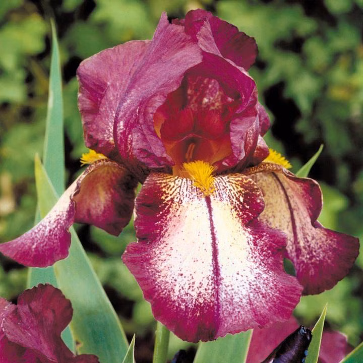 90c0576a89993f07995291ba3b2bb29f