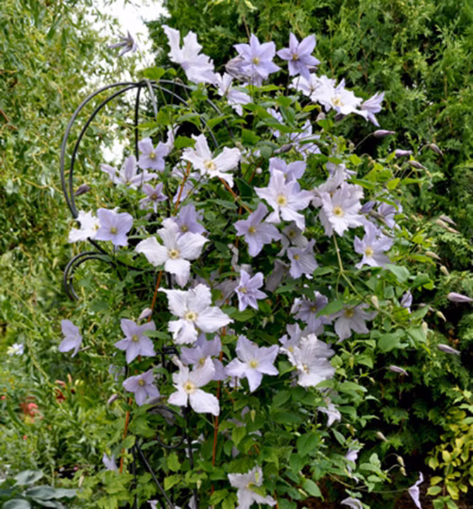 90f4546dae039374f3e15e5abddc63ae