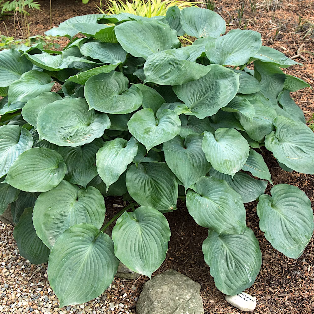 90f671f612821149141babaf9248bda1