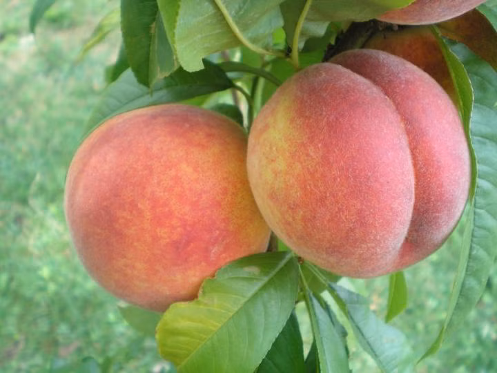 913ffef8a543986114dab6e912da0feb