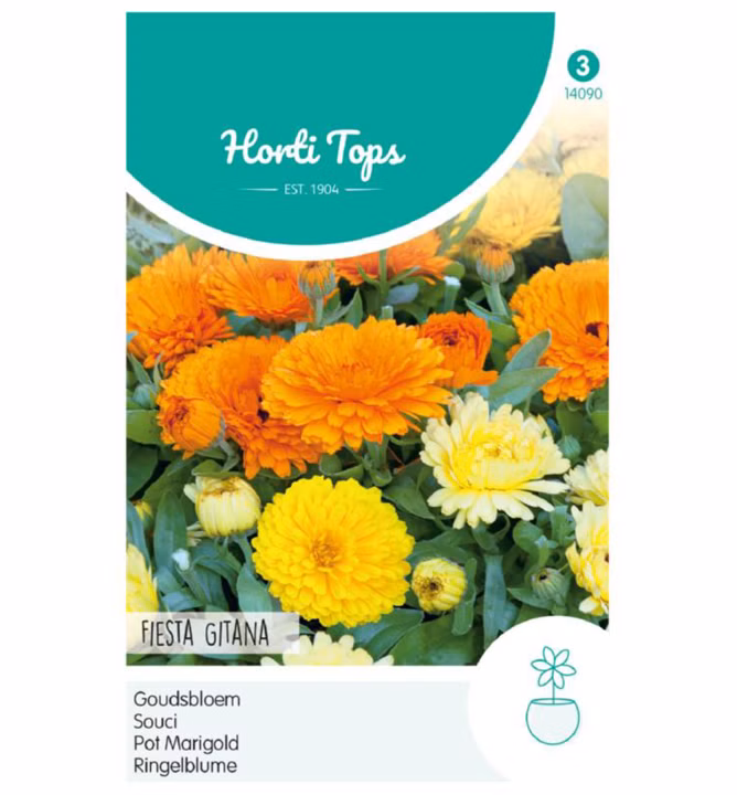 916a5d9ae25b789d4ecdda310b52a881