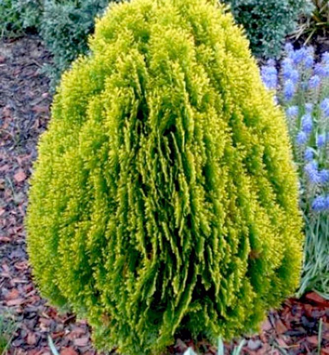 91d9b82ddeb714b1199981131c62b23c