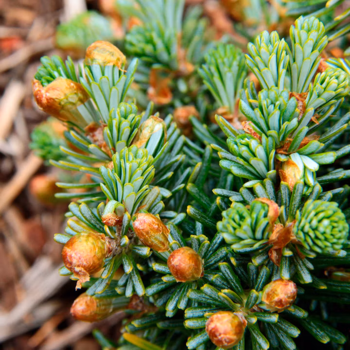 91e51860139bd9ced10ed1f45baf2992