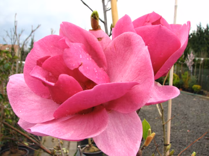 9205748517cb3f5011e08249cbd07aef