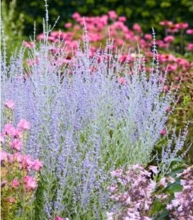 92207d0abc7244160c80e7bb319b5e3c