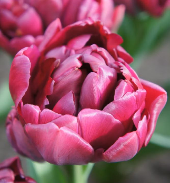 922d3ed4220c870629f7ca6a78097365