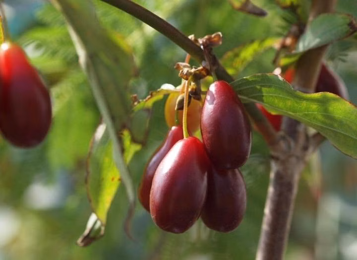 9251dfba027d5ea9c954fa990404583e