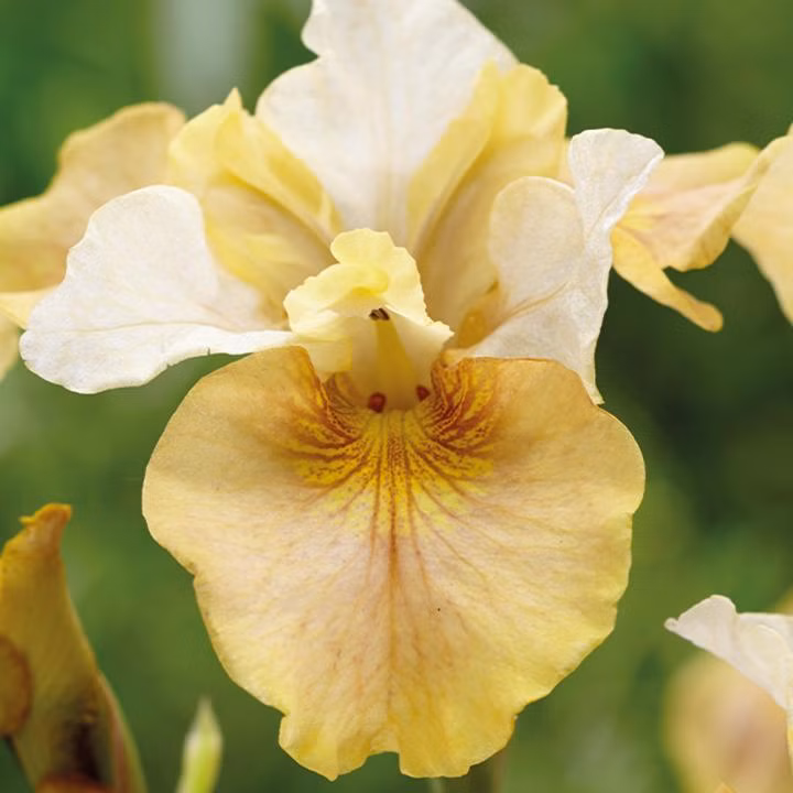 92932016a577aa88f9b5568f05eabca3