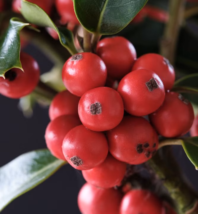 92fa5baa185697207bc880697c7be38d