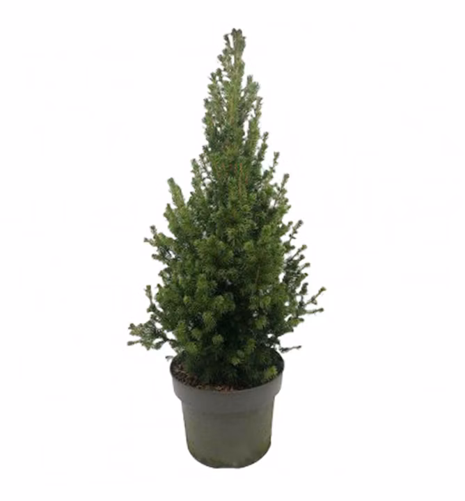 93406ff292692d57c1b21c2d8827cb34