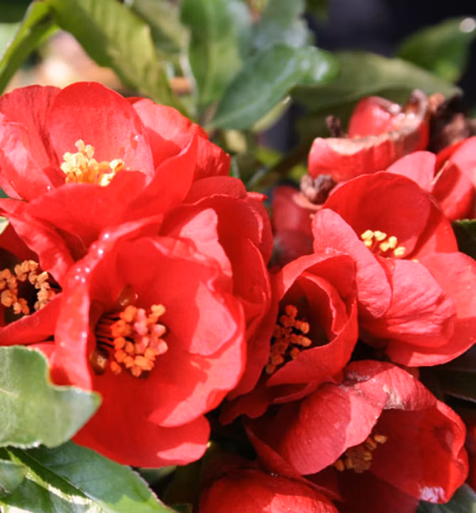 93a6333eb12340d263509b1756b3756e