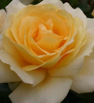 93bf8dc02c2965b60e0461663837d5e2