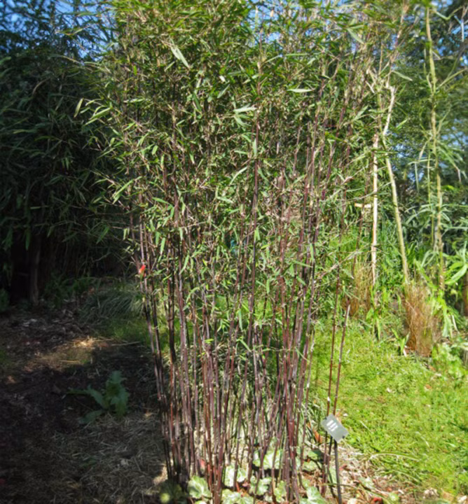 93f548822eaec999a47994c94bd191ac