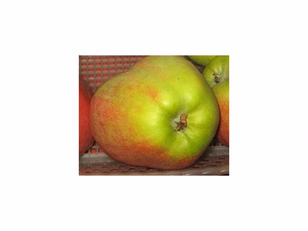 93f548f150aedfbedde2244f56d8702e