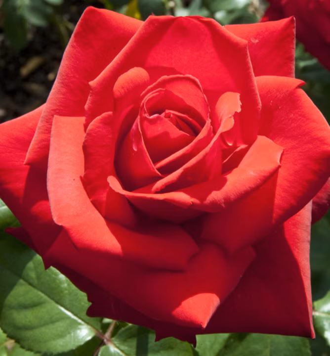 940b297f8c0dc614fb1919c28add8027