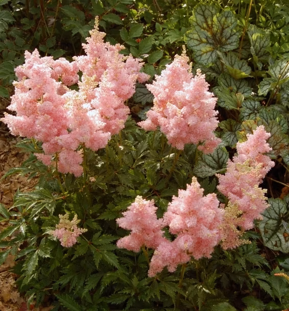 943cedee927ff565e9823d2931c558cd