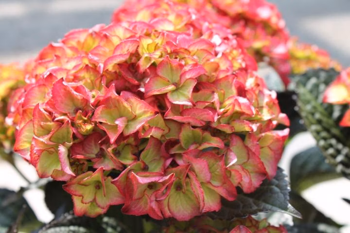 945c8c2fcd89a8b02c1c0cfe7c17e8cd