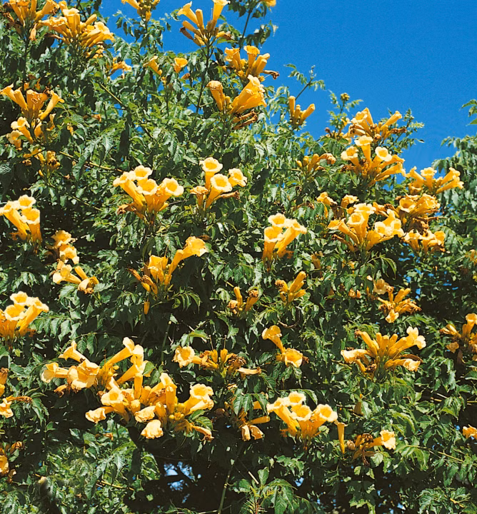 94856845e32d7b7df2bb7d310989405c