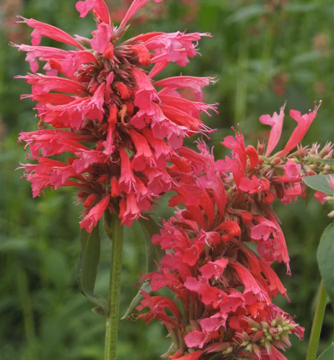 94a2198201c71747b7462d016d5004ba