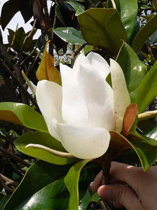 94ca6bad00f24a32a689bc8826e6032f