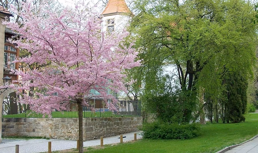 94e8c1643e1721e2a68ca9f659e60262