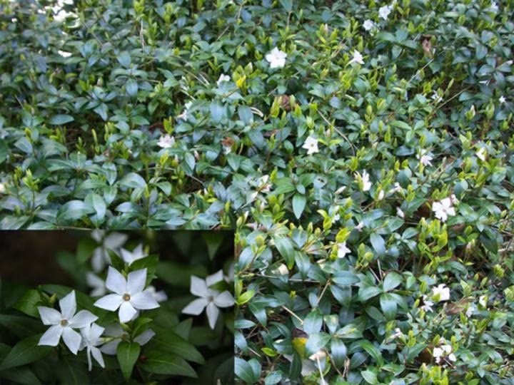 95216d9d8a24ce8d110ff8377dc9fc85