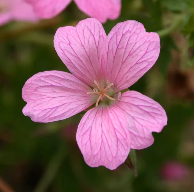 957e05d20619a36e2cc110fe241ee298