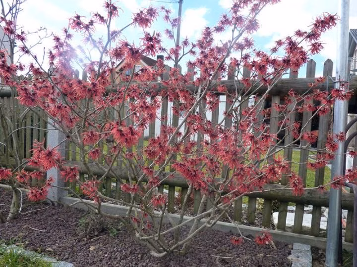 959c3e64338f30d44670150a28fea108