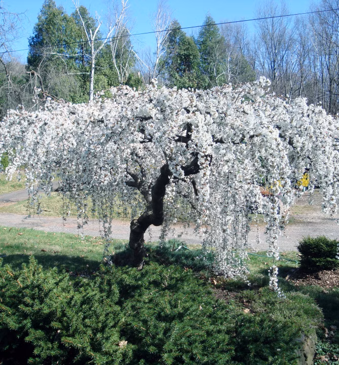 95a44f4d3154952087676d1671e0a014