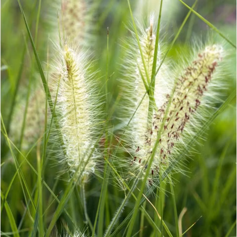 95c1f7ec83522beee079f2569b010417