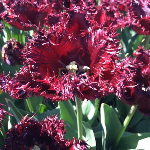 9600a1b9211b4c12802deed170ba0d3e