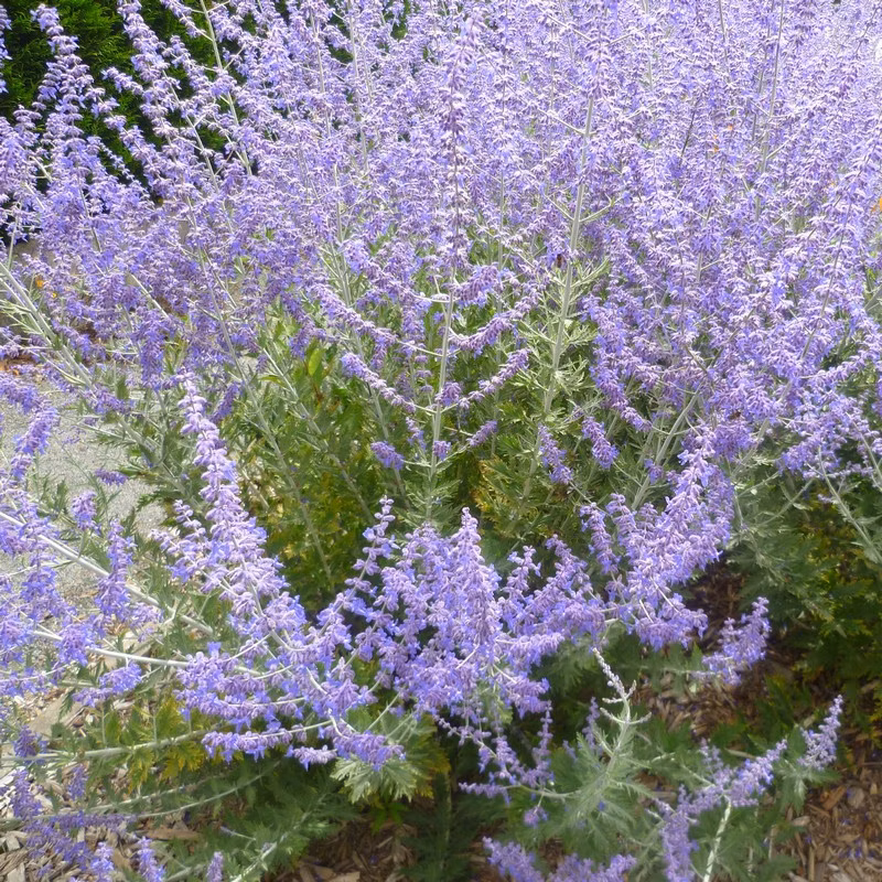 96182ab82c3daad85dc76459e97c7262