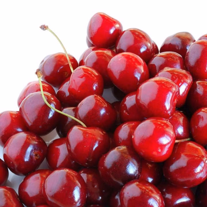 962a3552785370d688999d43f5c7d6b5