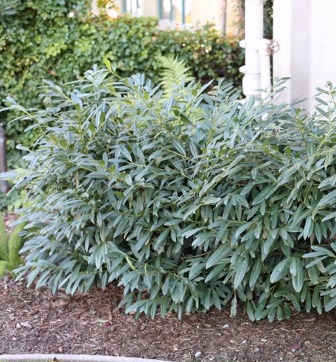 962dea59e3721b03e11b1b0258317bd2