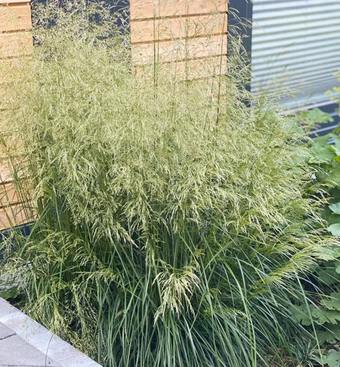 963918b17f827290e567a534fbe0ed92