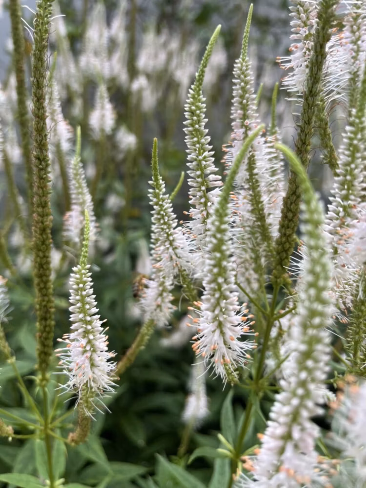 965993e4ad6d60fd2fc39bfc02e6ea4e