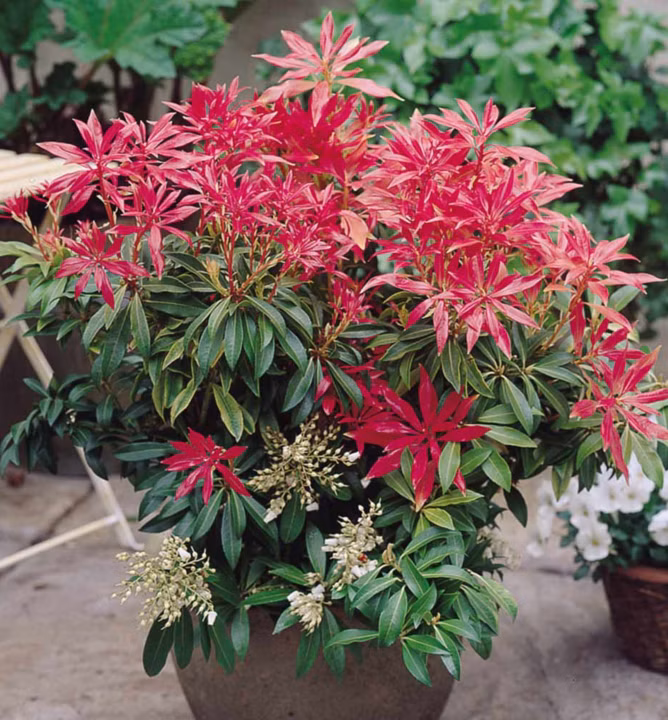 96ac0d0ffa9ac3240b552fa7c933bd04