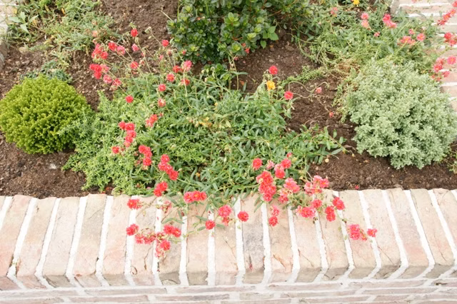 96e01e1dfbc8cf1f9f9585597baf2907