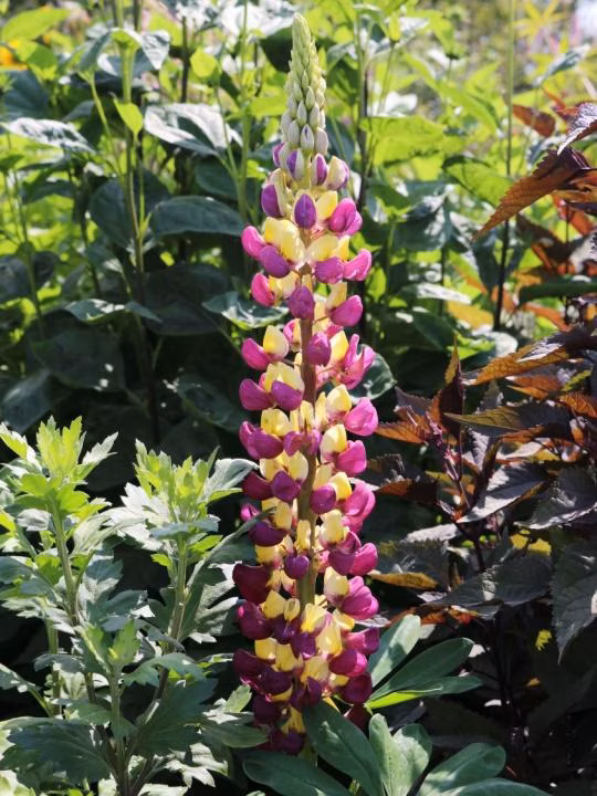 976b938490389d033697abe479e121d3