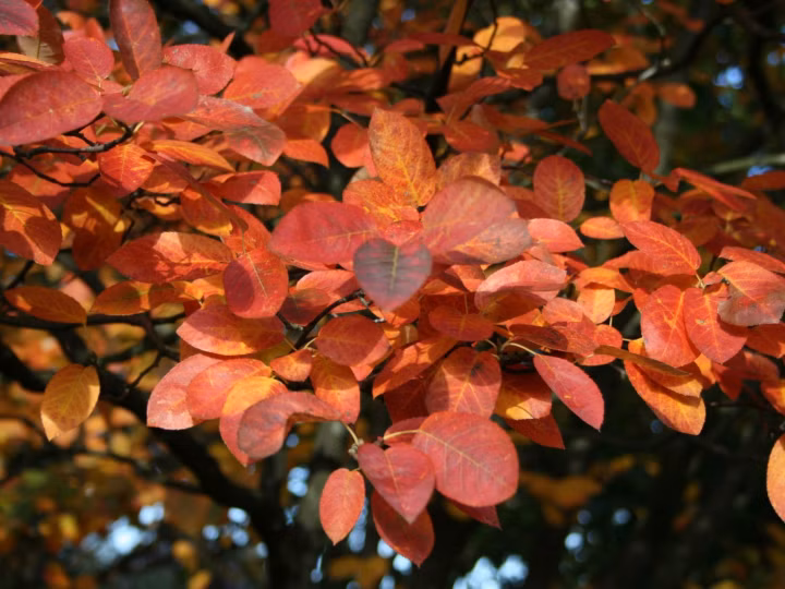 978071a40df3cb1a40416f20a4c50cb0