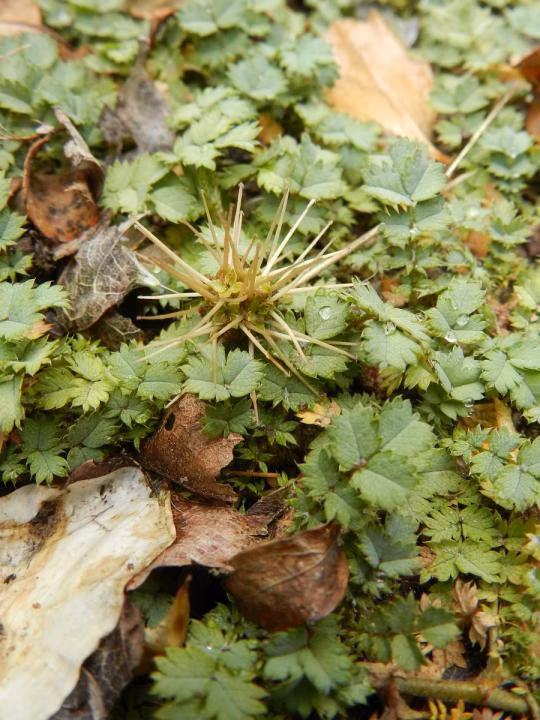 97d48eef667ed14a2f60f67cc4581db8